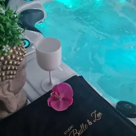 Studio Bulle Et Zen Avec Appartement Cessieu